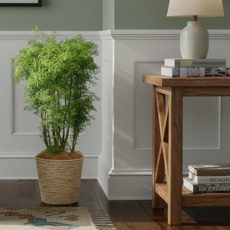 ポリシャス　フルチコーサ　スターシャ