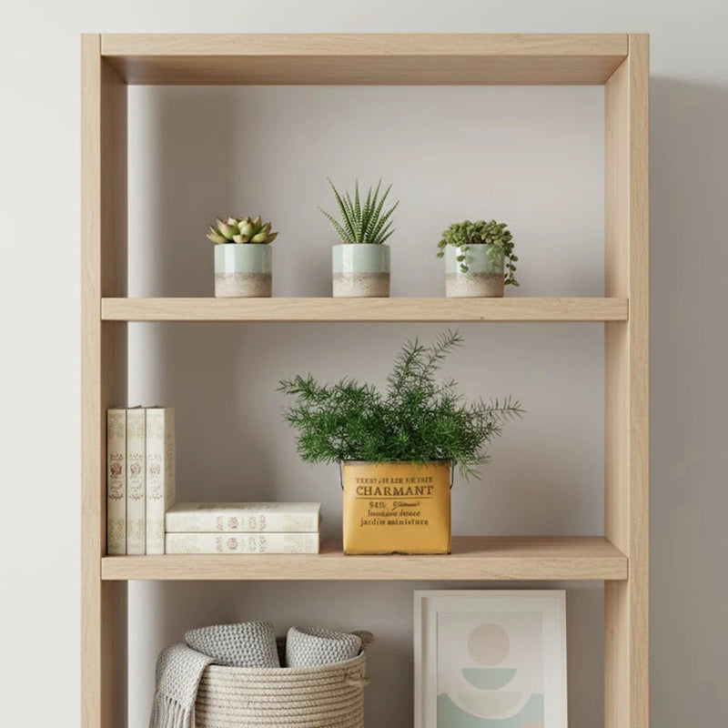 アスパラガス・スプレンゲリー