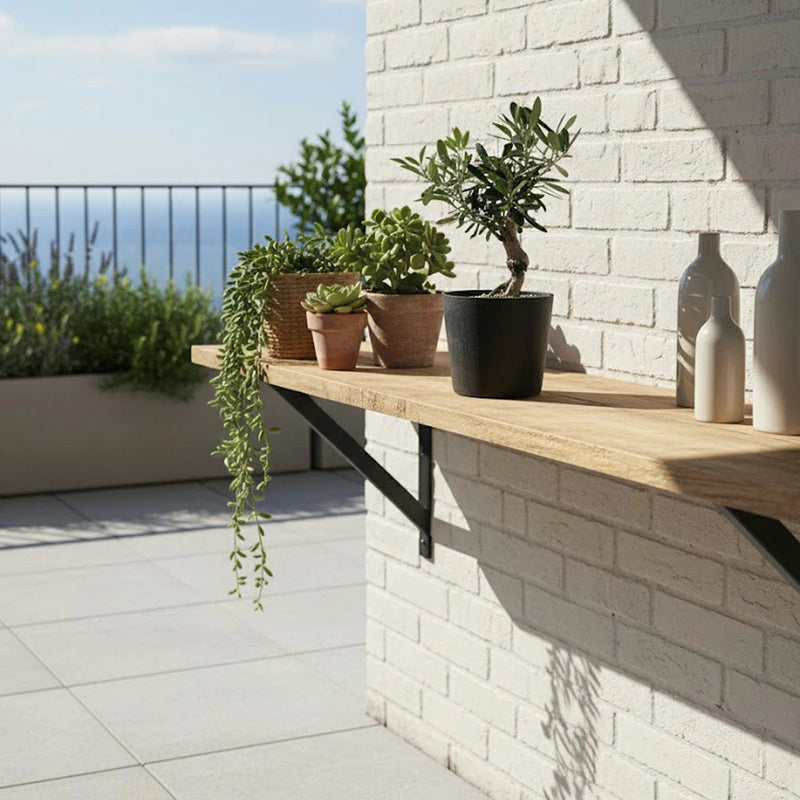 現品！オリーブ　SOUJU　盆栽　No.3