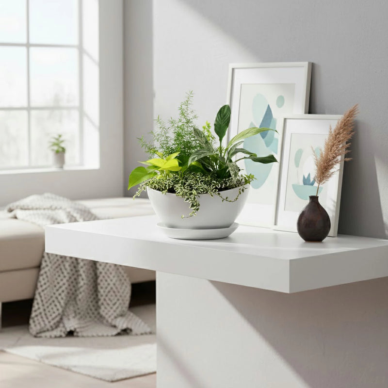 観葉植物の寄せ植え　ホワイト