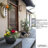 新しい一年の願いを込めて、笑顔を招く迎春寄せ植え